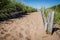 Sandy path and beach grass leads to Park Point Beach in Duluth MN