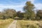 A sandy path disappears between the trees in this varied dune area of â€‹â€‹the Amsterdamse Waterleidingduinen