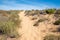 Sandy path and dune grass, mediterranean Portugal landscape