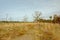 Sandy path in a heath landscape with bare and spruce trees