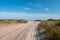 Sandy path leading toward the Atlantic Ocean, beneath a beautiful clear blue sky, Fire Island, NY