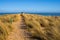 Sandy path through Marram Grass