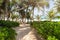 Sandy path to a caribbean beach, Tulum, Mexico