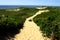 Sandy Pathway