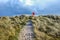 Sandy pathway running through grass sand dunes with a red life belt at the end of the pathway