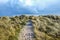 Sandy pathway running through grass sand dunes with a red life belt at the end of the pathway. Horizontal format