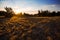 Sandy prairie at the sunset