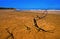 Sandy Red Beach with Branch (HDR)