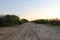 Sandy road in the African Bushveld