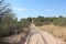 Sandy road in the African Bushveld