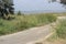 Sandy road along the estuary, overgrown with grass on both sides