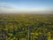 sandy road in Apalachicola National Forest in Florida, aerial view