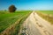 Sandy road and green fields, lonely tree and blue sky