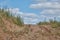 A sandy road with overgrown grass with traces of construction equipment