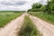 Sandy road with puddles. On the side of the dirty road there is tall green grass and bushes. Rainy cloudy summer day