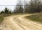 A sandy road with rocks with a sharp turn, surrounded by green grass