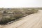 Sandy road with truck tracks in Cabo Polonio, Uruguay