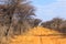 Sandy road through Waterberg Plateau National Park. Namibia