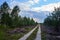 Sandy roads and clearing of heather in a forest