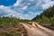 Sandy roads and clearing of heather in a forest