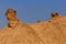 The sandy rock `Camel Neck` in the Sahara Desert, Tunisia