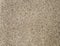 Sandy Rock floor surface for texture background