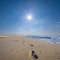 Sandy sea beach with closeup human tracks