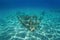 Sandy seabed with remains of wrecked ship France