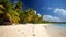 Sandy shoreline splendor, exquisite tropical beach, palm trees, and tranquil oceanic setting