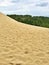 Sandy slope of the Dune of Pilat in France