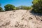 Sandy slope in the sea