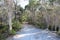 Sandy Track through melaleuca trees West Australia