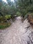 Sandy trail in the Slowinski National Park, Poland