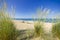 A sandy wild beach