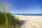 A sandy wild beach