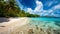 Sandy wonder, exquisite tropical beach, sunlit sands, and serene coastal delight