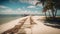 Sandy, wooden boardwalk on a tropical beach in the Florida Keys. Island ocean landscape.