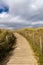 Sandy wooden footpath leads through gentle sand dunes with grasses and reeds to the beach