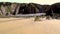 Sandymouth beach near Bude in Cornwall.