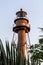 Sanibel Light Through Palms - Sanibel Island Lighthouse, Florida