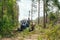 Sanitary cleaning of the forest. Tractor working in a forest. forestry