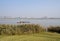 Sanitation boats on lake with city behind in sunny winter