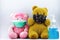 Sanitizing hand gel and teddy bear wearing face mask