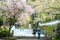 Sanjeong Temple with nice sakura at spring season