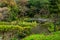 Sankeien garden with trees, bridge and pond in Yokohama