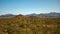 The sanoran desert and cactus near ajo, az