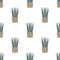 Sansevieria cylindrica in woven basket pot seamless pattern. Cylindrical snake plant, Spear Sansevieria texture, vector