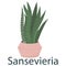 Sansevieria, houseplant, flower in a pot - vector illustration, element in flat style