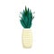 Sansevieria houseplant in a pot. Vector illustration in flat style