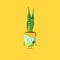 Sansevieria plant character got slap isolated on yellow background. Sansevieria plant character emoticon illustration